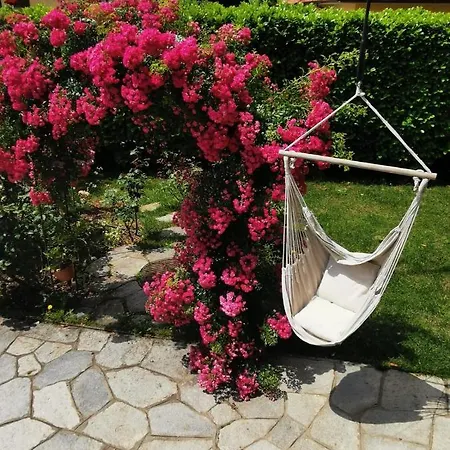 La Rosa Del