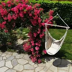 La Rosa Del