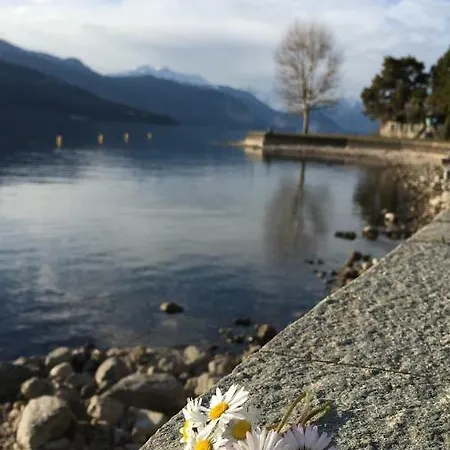 La Rosa Del Couette-café Reno Di Leggiuno