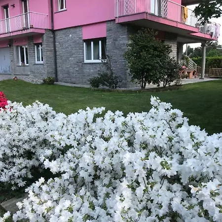La Rosa Del 3*