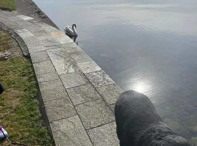La Rosa Del לינה וארוחת בוקר