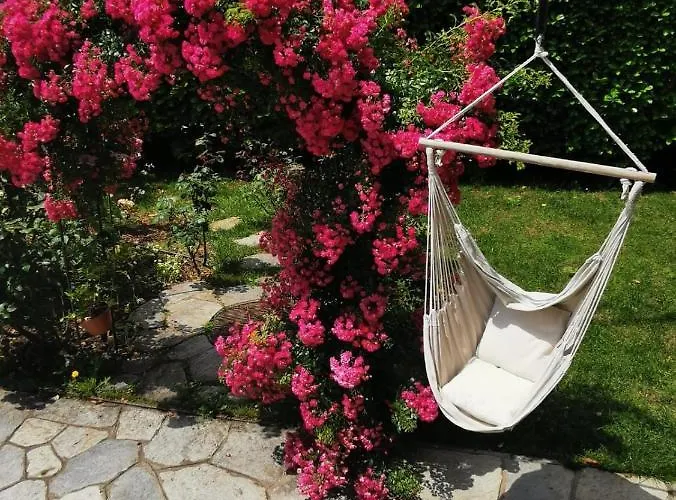La Rosa Del