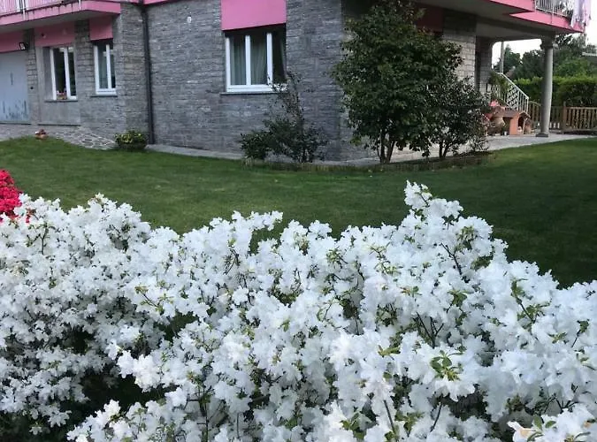 La Rosa Del 3*